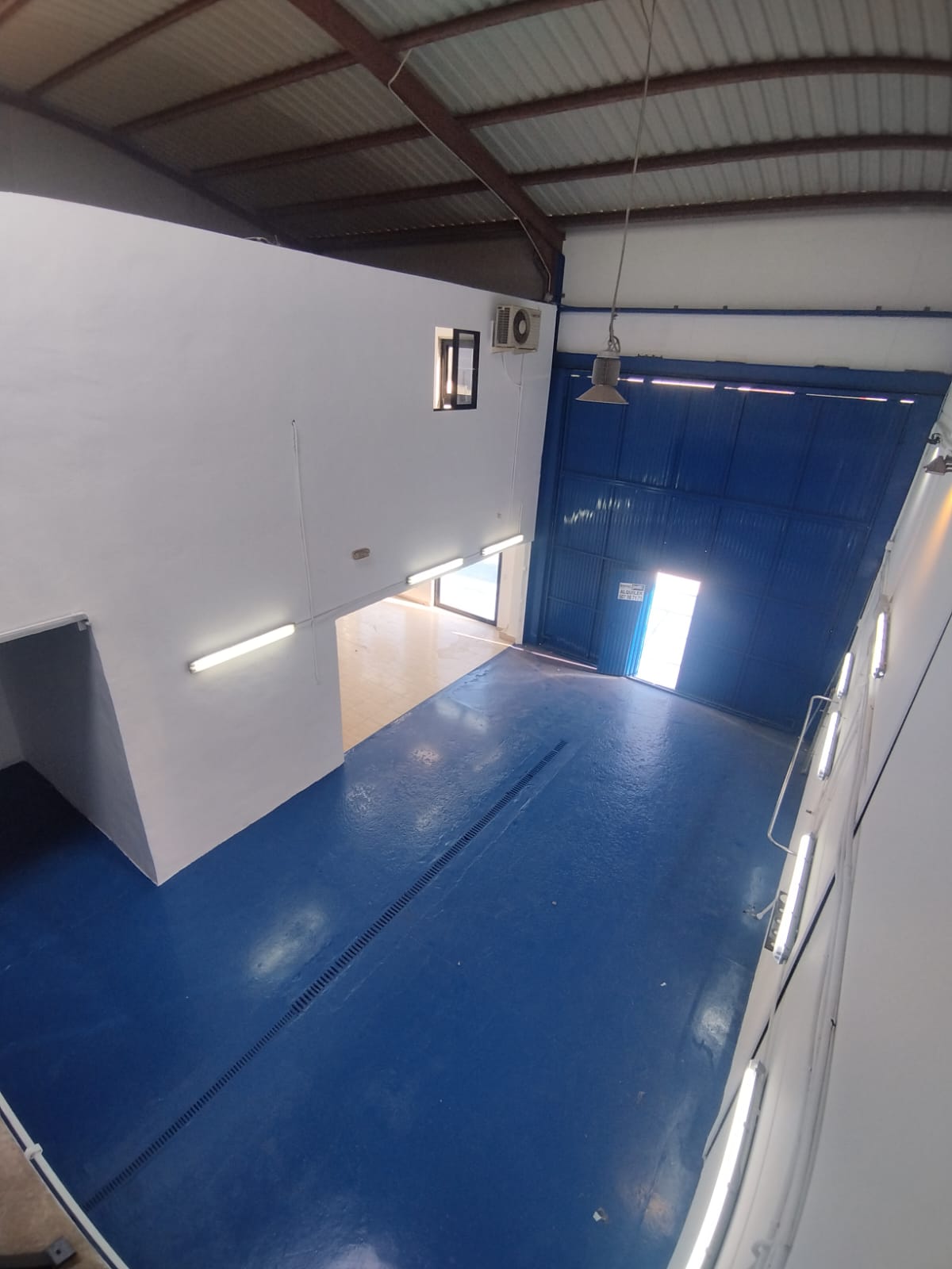 49789_WhatsApp Image 2025-10-08 at 10.47.15.jpeg